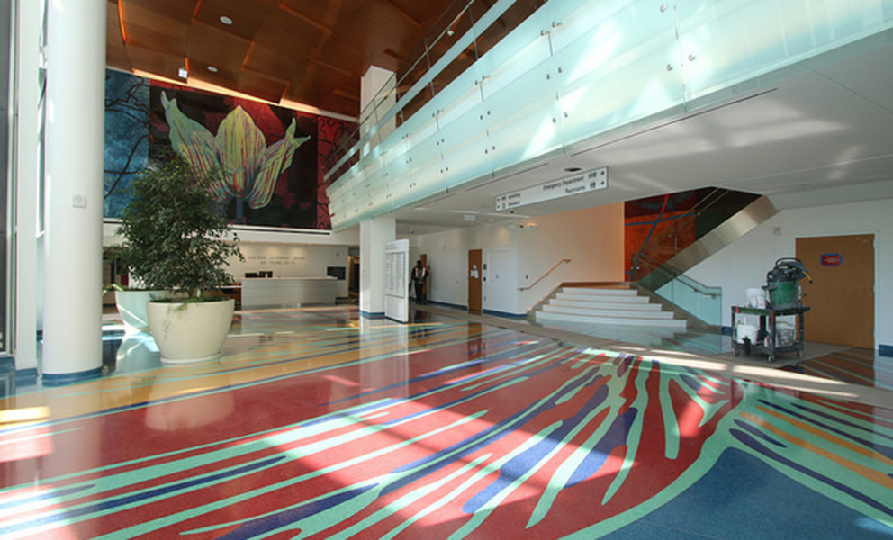 Zuckerberg General Hospital: Rupert Garcia, Nature of Medicine, 2015.